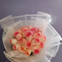 گل رز هلندی