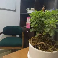 مشاوره،روانشناس تلفنی و حضوری