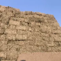 یونجه لوکس درجه یک