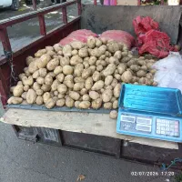 موتور 3چرخ فروشی