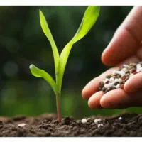 کودهای کشاورزی