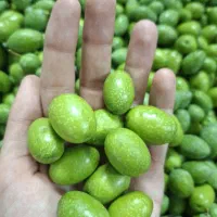 زیتون کنسروی درجه یک تازه