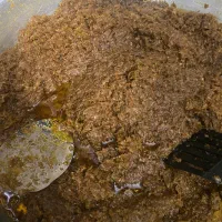 پیاز ارسال رایگان