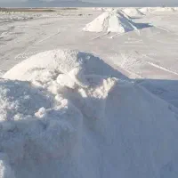 نمک دام