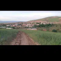 زمین کشاورزی دیم 12هکتار زرین آباد بصرک