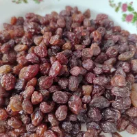 کشمش اورگانیک تاکستان