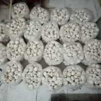 قارچ دکمه ایی