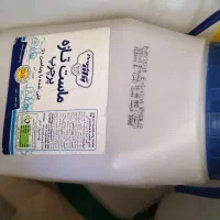 دبه ماست