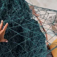 فروشی|ماهیگیری|کنارک, |دیوار