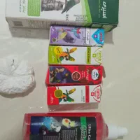 عروس هلندی تخم گذار، دستی باقفس ومتعلقات آماده