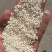 برنج ایرانی|خوردنی و آشامیدنی|بهشهر, |دیوار