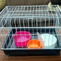 قفس پرنده