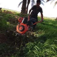 تیلر پاکنی هرس و علف زنی درخت کاری کلیه خدمات باغ