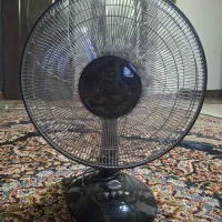 پنکه زمینی