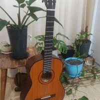 گیتار متاع پور اصل
