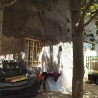 دامداری و خونه باغ