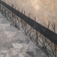 حفاظ شاخ گوزنی