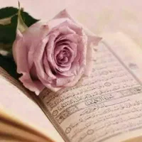 سرکتاب