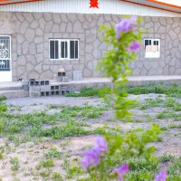 باغ دیوارشده