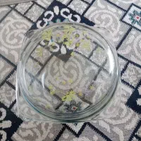 سوپ خوری|ظروف سرو و پذیرایی|جوانرود, |دیوار