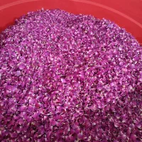 گل محمدی خشک شده تازه
