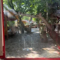 کارگر گارسون نیرو کار میزبان