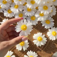 شمع بابونه معطر