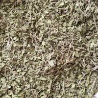 آویشن برگ پهن