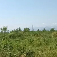زمین-باغی-در-منطقه-ای-زیبا-در-غرب-گیلان