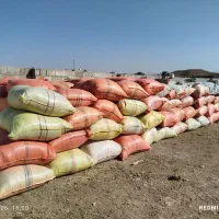 کاه‌عدس