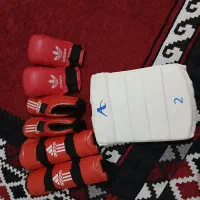 کوی علوئ