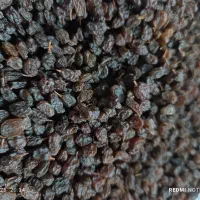 کشمش پاک شده