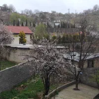 فروش باغ ثمری.