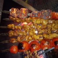استخدام سیخ گیر