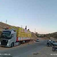 خریدار کاه گندم اطراف سقز و دیواندره