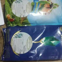 سموم گل و گیاه