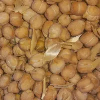 نخود تازه