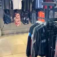 رگال ، چوبکار ، دستک ، شاخه ای ، تگ