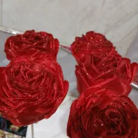 گل ربانی|گل مصنوعی|آق قلا, |دیوار