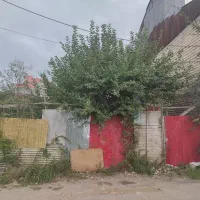 زمین کوچه گل مریم  *دارای علمک گاز*