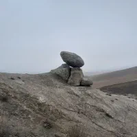 طبیعت گردی