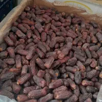 خرما پیارم گوشتی درجه 1