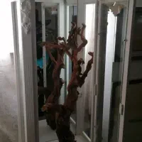 قفس پرنده