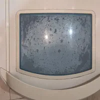 مینی واش چیکو