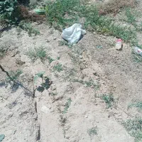 زمین-کشاورزی