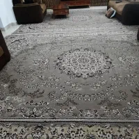 دوعددقالی ۱۲متری بفروش میرسد