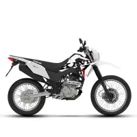 تریل کویر T6