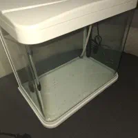 اکواریوم