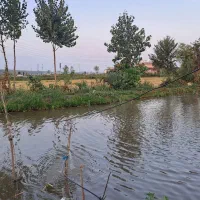 واگذاری-استخر-پرورش-ماهی