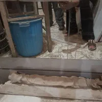 فرگاز|اجاق گاز و لوازم برقی پختوپز|بم, |دیوار